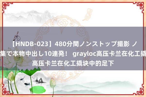 【HNDB-023】480分間ノンストップ撮影 ノーカット編集で本物中出し10連発！ grayloc高压卡兰在化工撬块中的足下