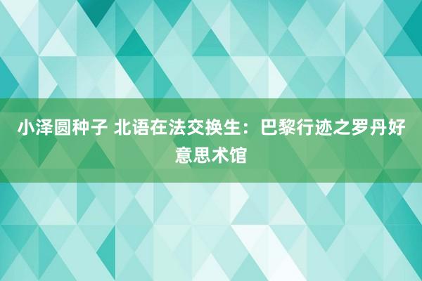 小泽圆种子 北语在法交换生：巴黎行迹之罗丹好意思术馆