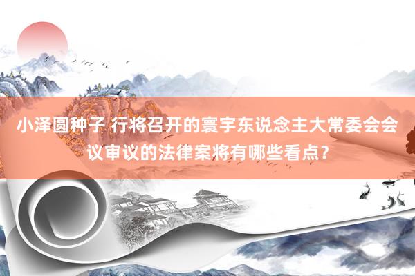 小泽圆种子 行将召开的寰宇东说念主大常委会会议审议的法律案将有哪些看点？