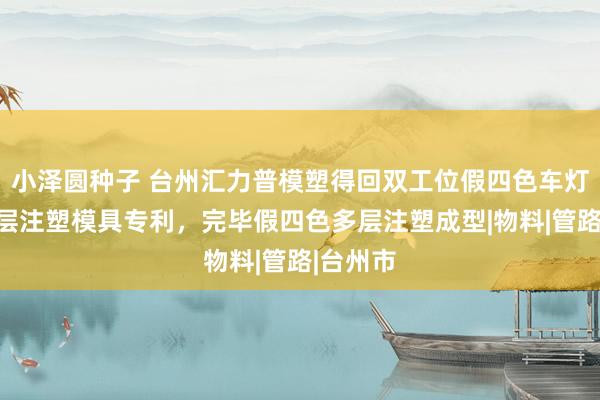 小泽圆种子 台州汇力普模塑得回双工位假四色车灯面罩多层注塑模具专利，完毕假四色多层注塑成型|物料|管路|台州市