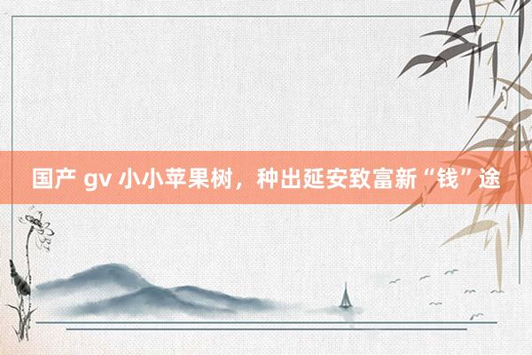 国产 gv 小小苹果树，种出延安致富新“钱”途